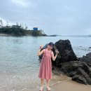 굼벵이캠핑농원 | 태안 꾸지나무골 굼벵이캠핑장 캠핑후기, 갯벌체험에 애견동반까지 가능해요❤️