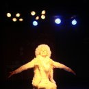 퍼피라이프 이미지