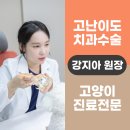 미소동물병원 이미지