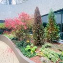 새안심약국 이미지