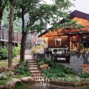 올드머그 이미지