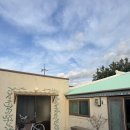 THE:쉼하우스 | 크리스마스 in 제주 (활엽수 게스트하우스 후기)