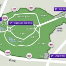 서울어린이대공원 네이버블로그