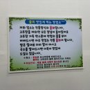영덕참기름 | 영덕 오보해변 캠핑 후기 (하트데크 성공..!)