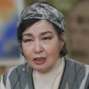 김애경 카카오 검색결과