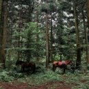수산리-4 | 제주도 체험거리 추천, 수산리 말 힐링체험 후기 (카름스테이)