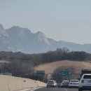 늘푸른숲 | 피톤치드 힐링 : 강원도 홍천여행 커플 및 가족 나들이 코스에 넣어도 좋을 실내 푸른숲 산책 후기