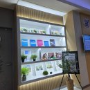(주)행복나눔메디칼 | 근육통, 허리통증 스톨즈메디칼 충격파치료기 후기 시작해요