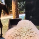 테이블에이 이미지