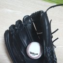 동구야구경기장 이미지