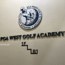 피지에이 골프아카데미 | 역심골프레슨 VI 스윙분석으로 스윙교정한 피지에이웨스트골프아카데미 후기