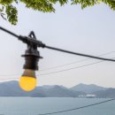 아라힐2 | 귀여운 강아지와 힐링 여행! 남해펜션 /남해 아라힐펜션 솔직후기