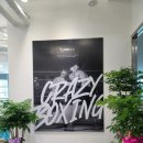 에이스복싱 이미지