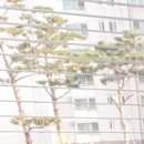 베데스다정형외과의원 이미지