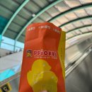 동물원 가는 길 | 서울대공원 가을단풍길(호숫가둘레길-동물원둘레길) 후기