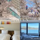 봄 호텔 | [경주 라한셀렉트 호텔] 봄시즌 후기/ 벚꽃 시즌🌸/ 보문호수 뷰/ 4월초 경주 벚꽃개화 상황 (내돈내산)