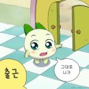 신촌회참치