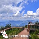 와와정선 2층 투어버스 | 가리왕산 케이블카 시간 예약 강원도 여름 정선 여행