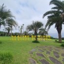 2026년삼재띠는 돼지띠,토끼띠,양띠? 사주운세풀이잘하는곳,비대면운세풀이 이미지