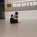대청주짓수