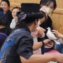 중앙도서관 공연연습실 | 고흥중앙도서관 찾아가는 버블매직쇼 공연 후기책과 예술, 그리고 환상이 함께한 특별한 도서관 하루