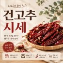 안덕농업협동조합 농산물산지유통센터 | 2026 건고추시세, 한 근 600g 얼마일까? 햇고추 가격 정리
