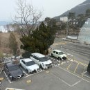 용인 그린웨일 카페 내돈내산 후기
