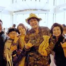 하와이 여행 후기 (오하우섬)