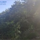 곡성-230 네이버블로그