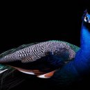 문수스크린골프연습장 이미지