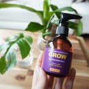 에코 플랜테리어 수경재배 이미지