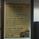 서해쭈꾸미 이미지
