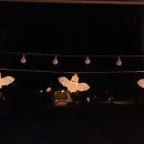 모야의숲 캠핑장 이미지