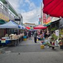 유성대로(유성-34) 이미지