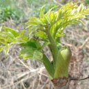 농부보따리 이미지