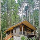 독특한 평면지붕과, 필로티 구조의 숲속주택 이미지