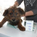 비룡5길 이미지