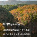 [중보기도요청] 2024년11월4일(월) 이미지