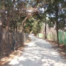 홍릉초교 이미지