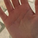대구/여행] 5월 청도 가볼만한곳, 대구 찍먹 여행 (군파크 루지, 와인터널, 대구 모얼동, 마마다이닝)