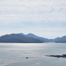 신화랑풍류숲길 이미지