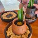 팜스발리 이미지