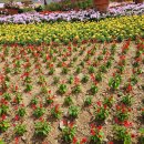 부흥마을 이미지