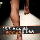 백년 습관, 종아리 - 건강 백 세 시대 종아리에 집중하라 이미지