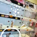 남양시장로45번길 이미지