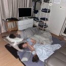 거기벵디 | 아기랑 3박4일 제주여행 2일차 김녕해수욕장 모래놀이 런던베이글 몽탄 동화마을 스타벅스 석양명소 벵디