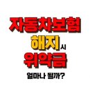 자동차보험 해지 위약금 내야 할까? 위약금 없이 해지하는 3가지 방법 이미지