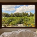 그리니제주 이미지