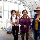 김일병농장 이미지