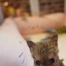 오픈주 하남스타필드점 이미지